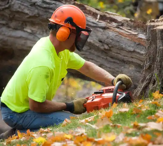 tree services Kinsman Center